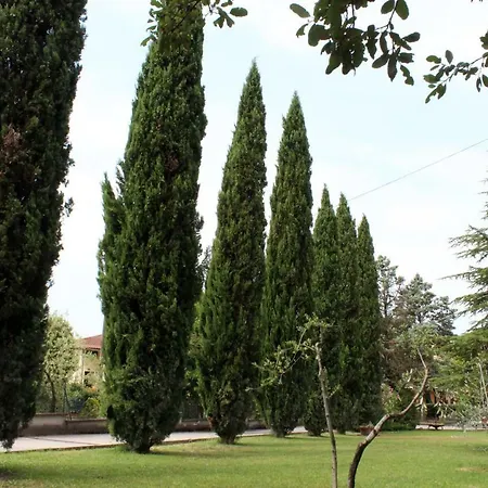Toskana Relax * Fucecchio